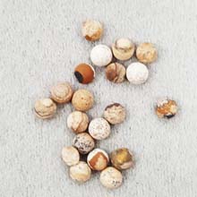 5MM ROUND CABOCHON FROSTED PICTURE JASPER(20PCS/BAG)